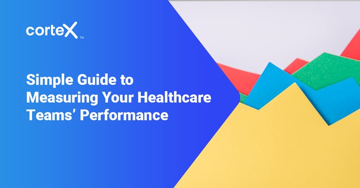 healthcare performance guide
